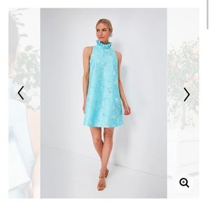 Tuckernuck Cyan Fil Coupe Blythe Dress size Small